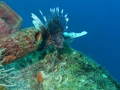 SEA&SEA 1200HD