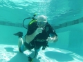 SEA&SEA 1200HD