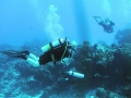 SEA&SEA 1200HD