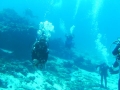SEA&SEA 1200HD