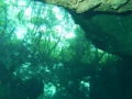 SEA&SEA 1200HD