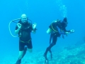 SEA&SEA 1200HD