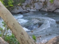 raft05f