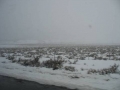 m06_goinghome