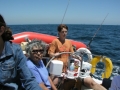 sail2
