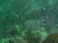 sail9