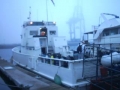 shark05b