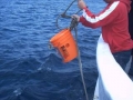 shark05g