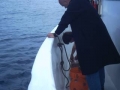 shark05h