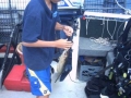 shark05j