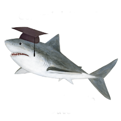 shark-grad