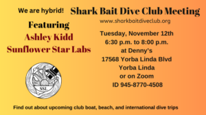 SharkBait Dive Club Monthly Meeting