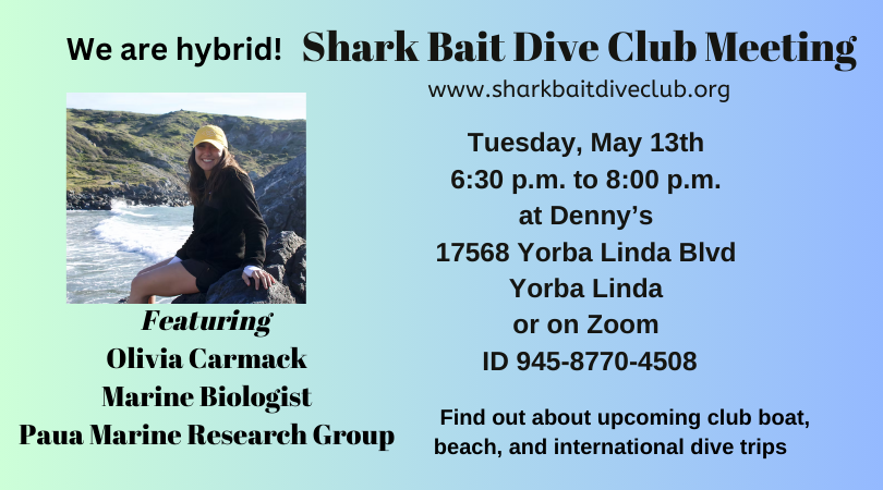 Shark Bait Dive Club Monthly Meeting